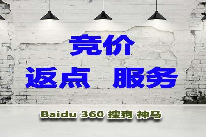 行业领先企业的SEM广告投放策略案例